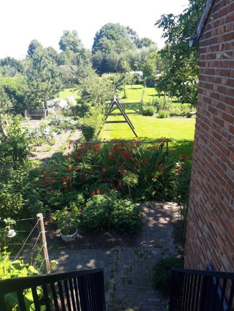 Studio Nok Bij Den Bosch Den Dungen Bagian luar foto