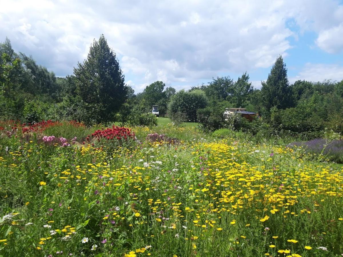 Studio Nok Bij Den Bosch Den Dungen Bagian luar foto