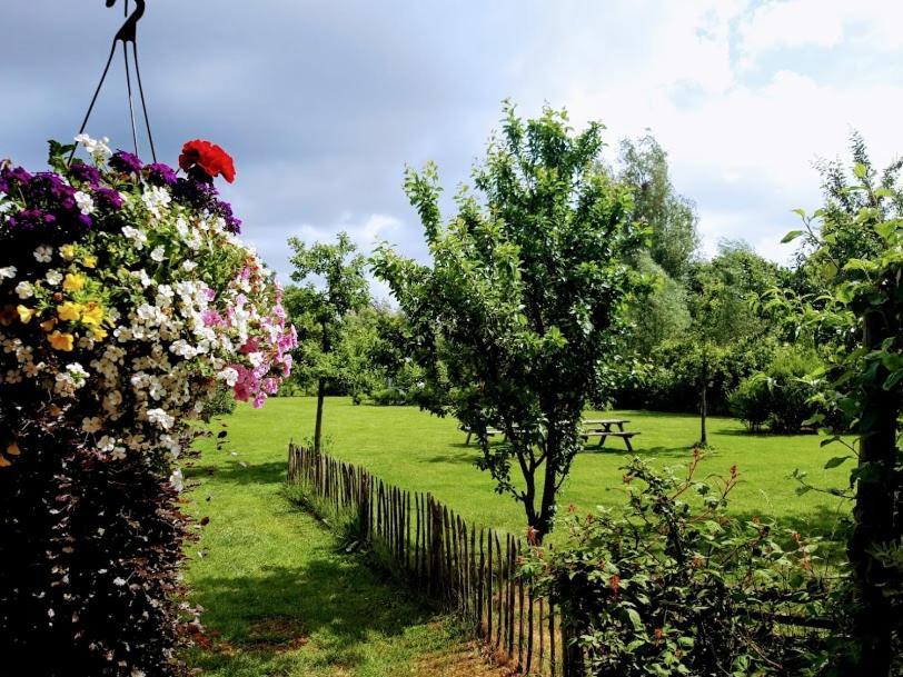 Studio Nok Bij Den Bosch Den Dungen Bagian luar foto